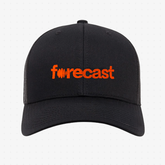 Forecast Mesh Cap