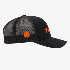 Forecast Mesh Cap