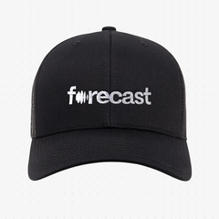 Forecast Mesh Cap
