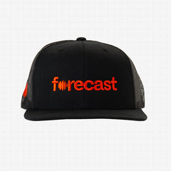 Forecast Mesh Cap