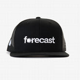 Forecast Mesh Cap