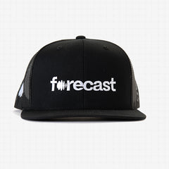 Forecast Mesh Cap