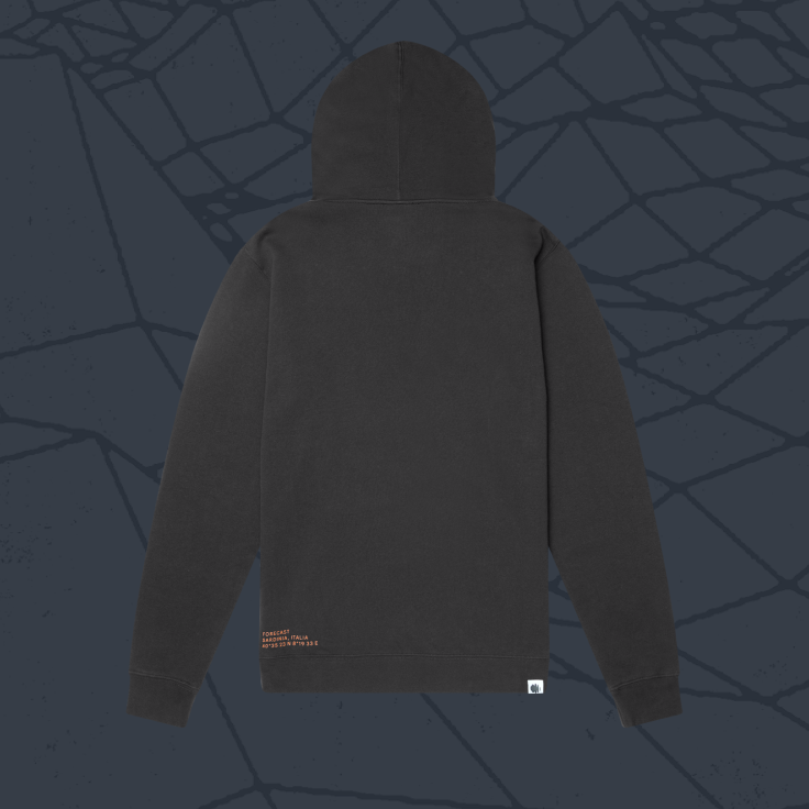 Foreshadow Hoodie