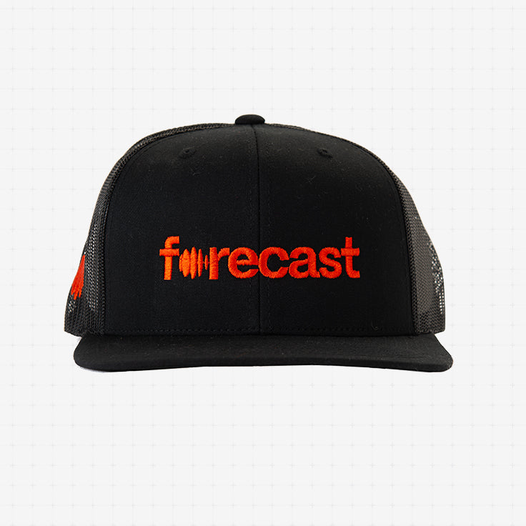 Forecast Mesh Cap