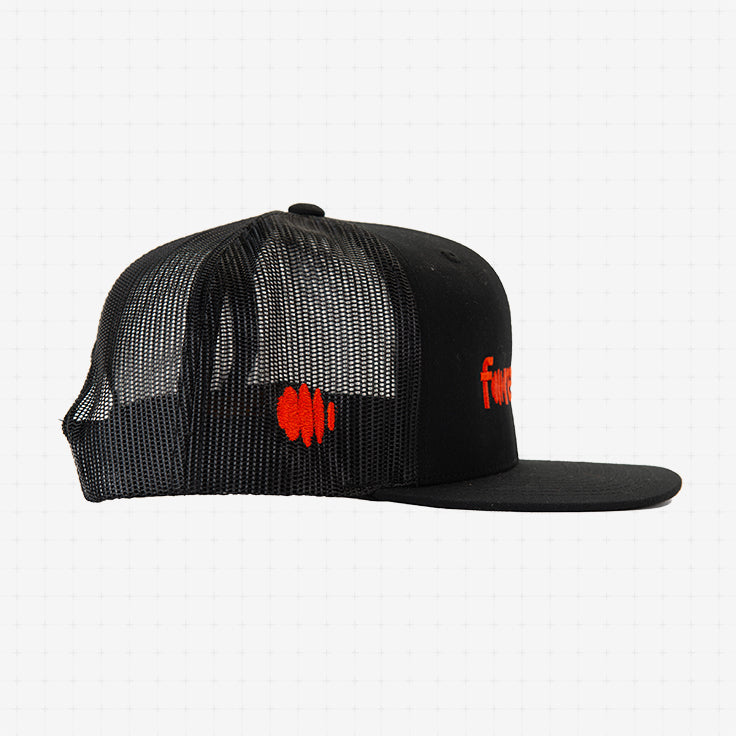 Forecast Mesh Cap