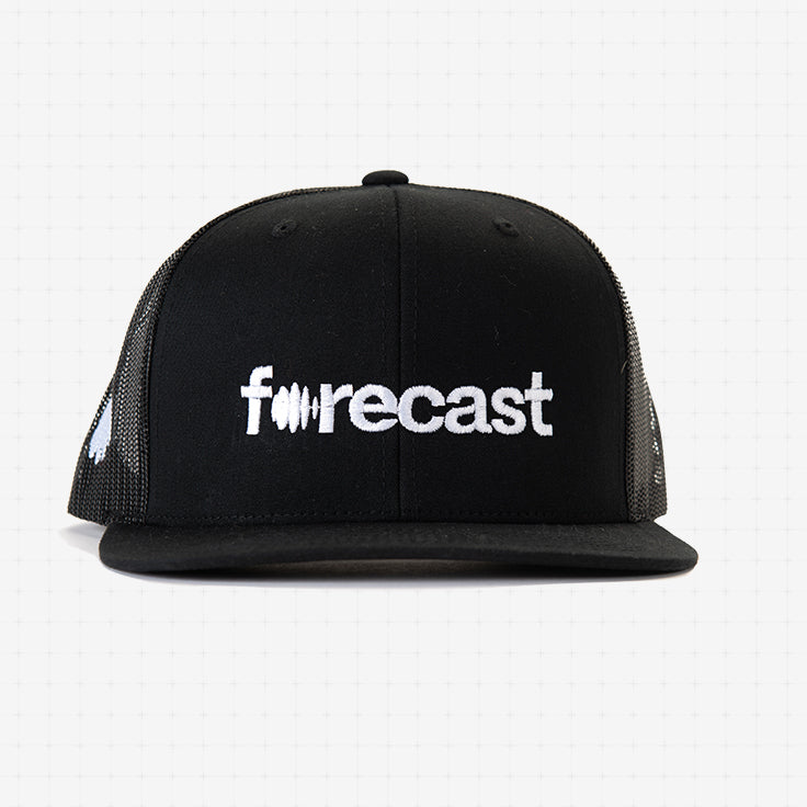 Forecast Mesh Cap
