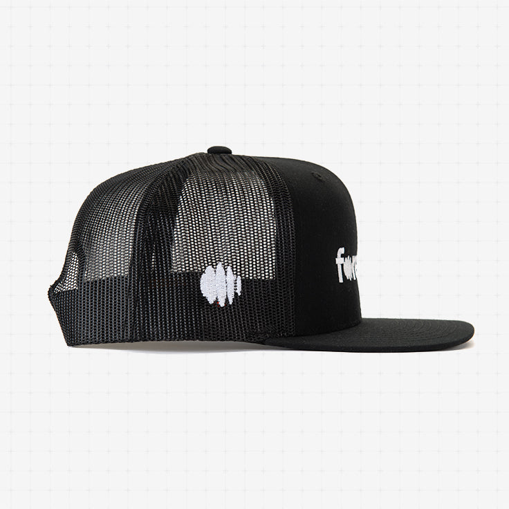 Forecast Mesh Cap